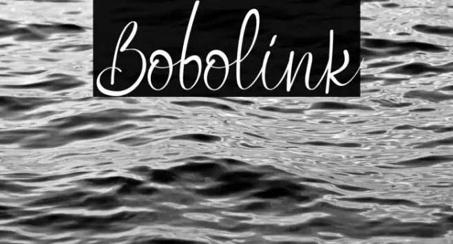 Bobolink Font examples