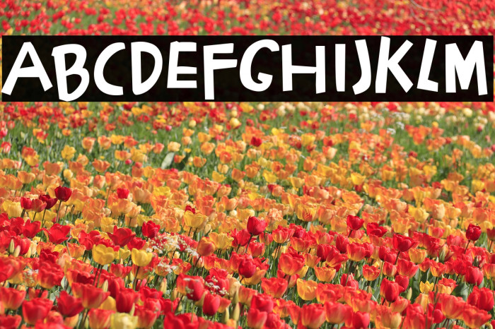 Bocah Font examples