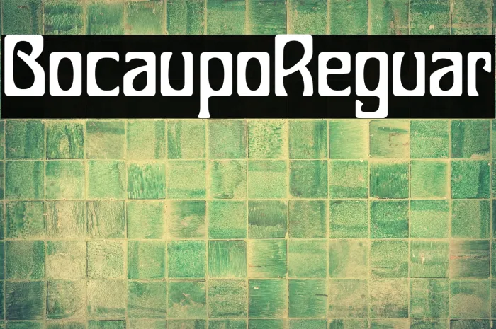 Bocalupo Regular Example 1