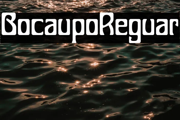 Bocalupo Regular Example 2