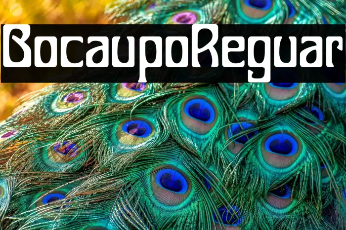 Bocalupo Regular Example 3