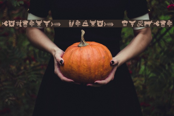 Bocartes fritos Regular Example 1