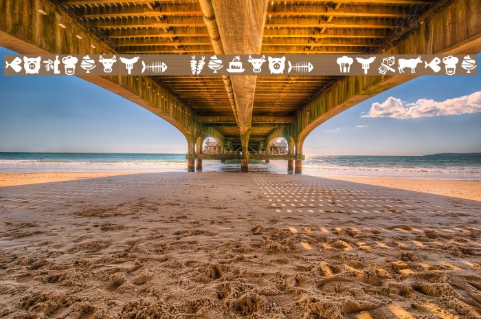 Bocartes fritos Regular Example 2