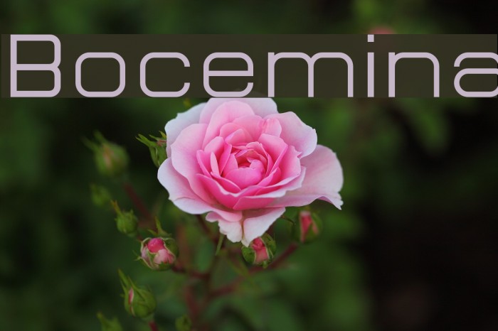 Bocemina Font examples