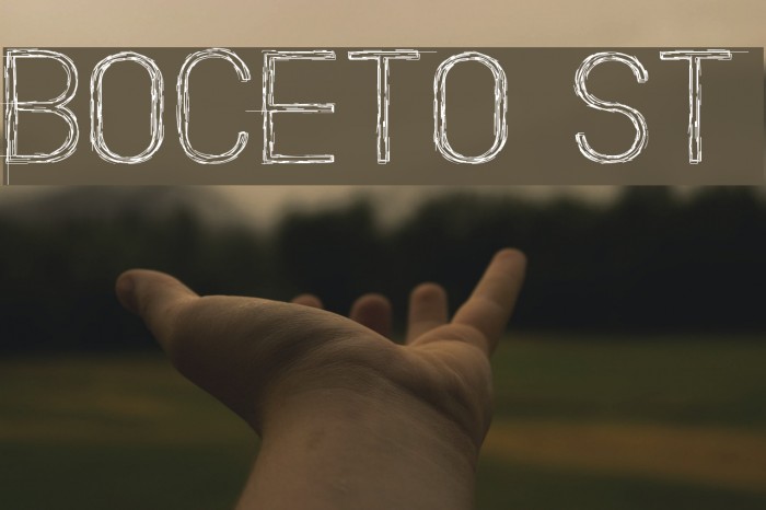 Boceto St Font examples