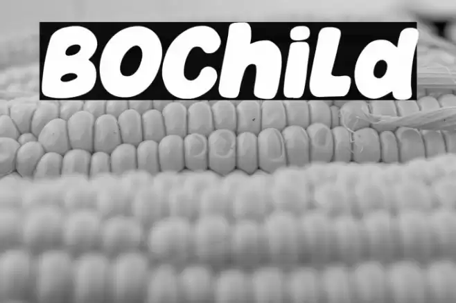 Bochild Font examples