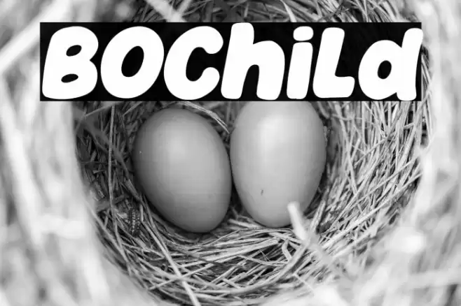 Bochild Font examples