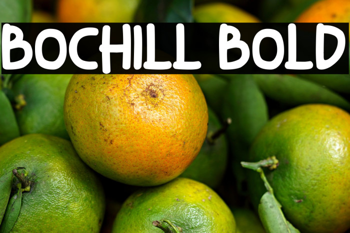 Bochill Bold Example 1