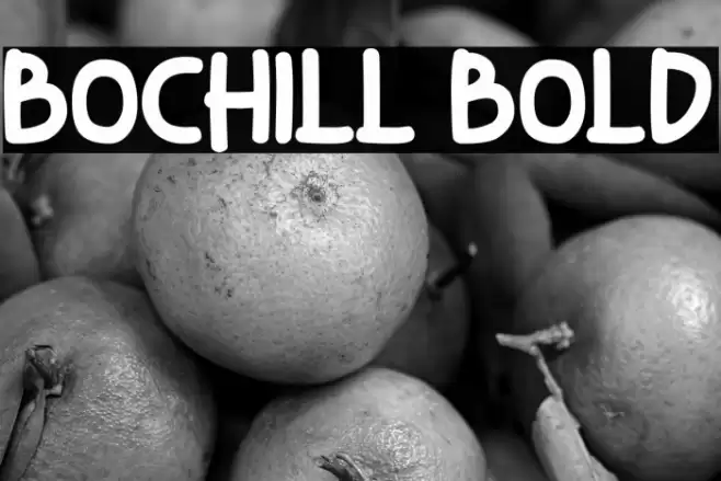 Bochill Bold Font examples