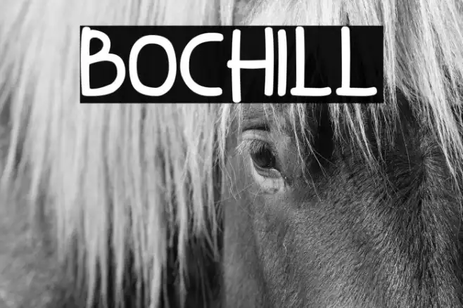 Bochill Example 1