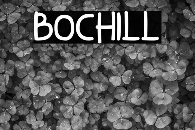 Bochill Example 2