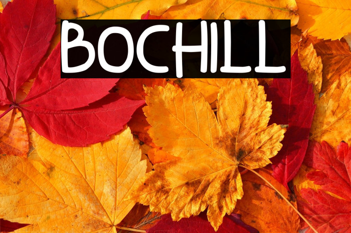 Bochill Example 3
