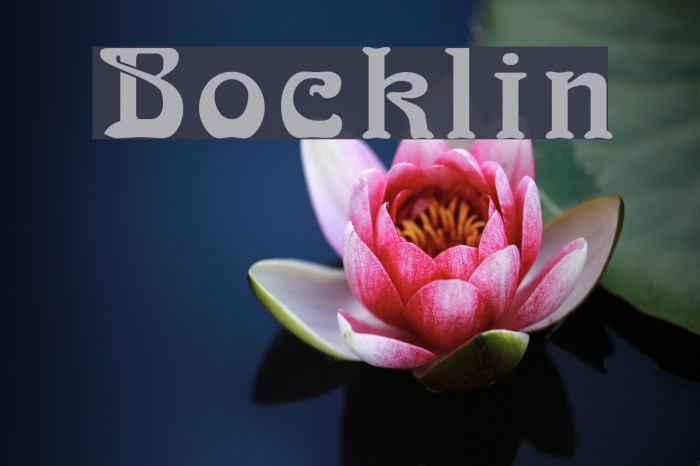 Bocklin Font examples