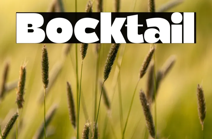 Bocktail Example 2
