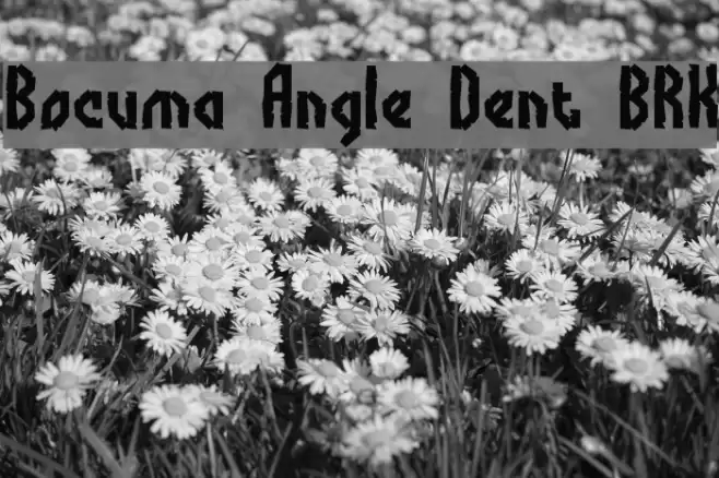 Bocuma Angle Dent BRK Font examples