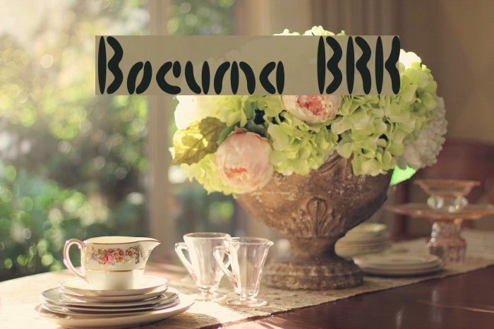 Bocuma BRK Example 1