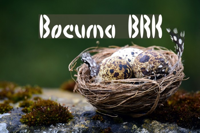 Bocuma BRK Example 3