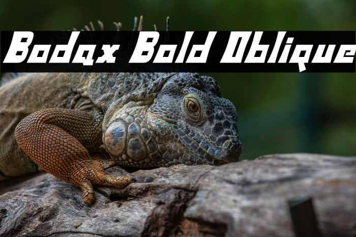 Bodax Bold Oblique Example 1