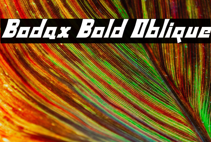 Bodax Bold Oblique Example 2