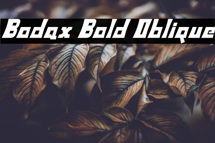 Bodax Bold Oblique Example 3