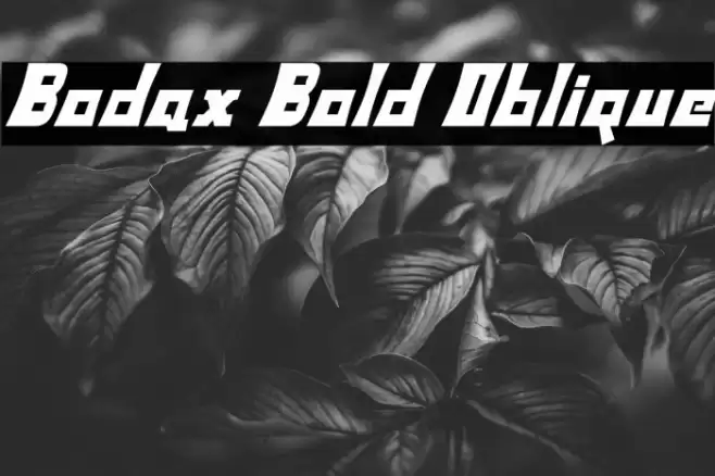 Bodax Bold Oblique Font examples