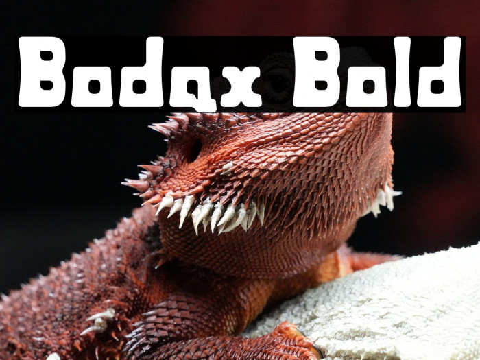 Bodax Bold Example 1