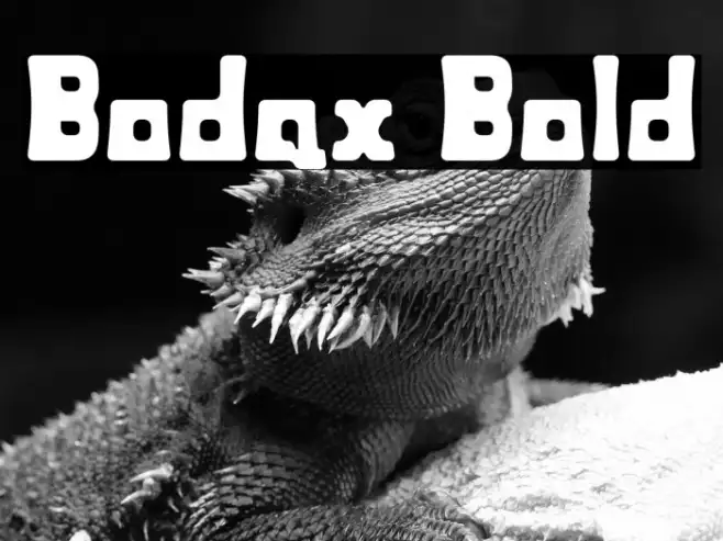 Bodax Bold Example 1