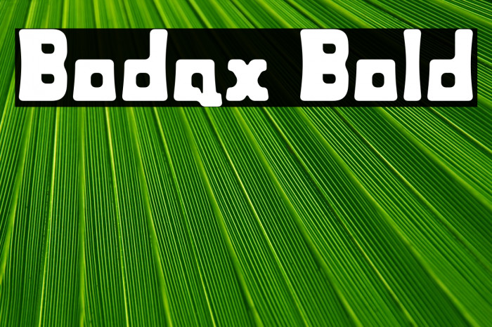 Bodax Bold Example 3