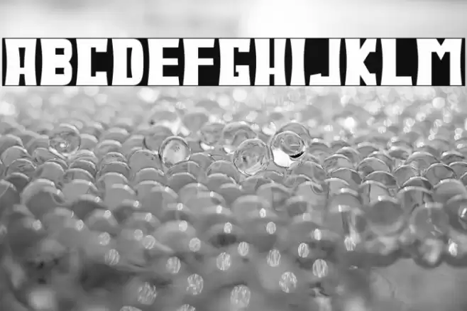 Bodax Polices examples