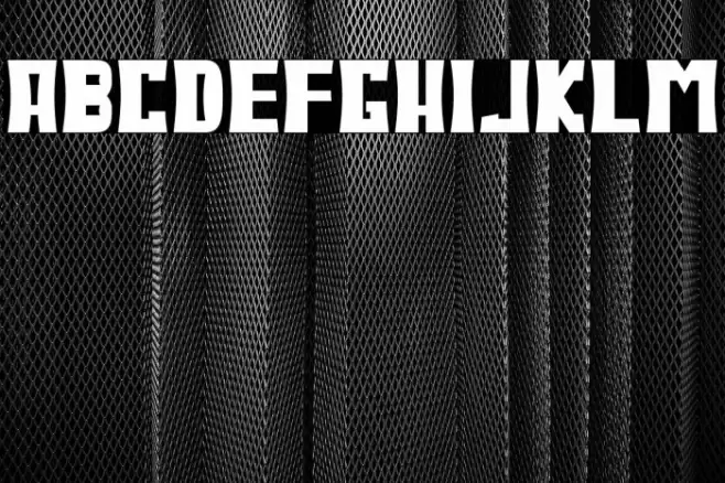 Bodax Polices examples