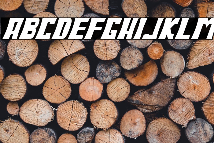 BodaxBoldOblique Example 1