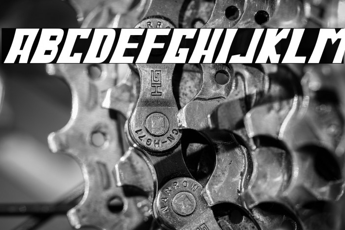 BodaxBoldOblique Example 2