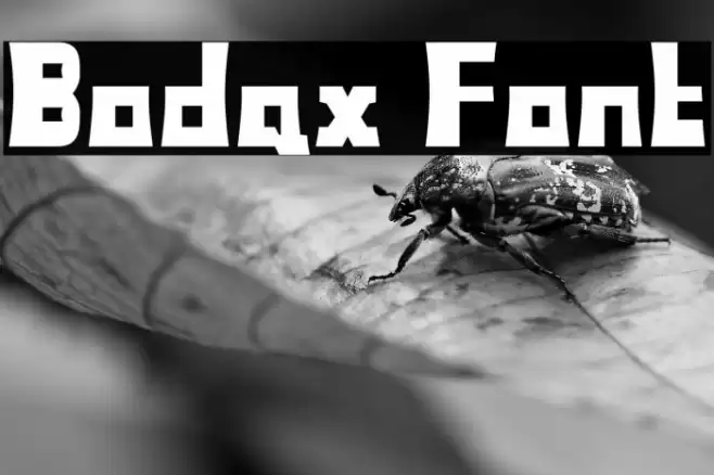 Bodax Font examples