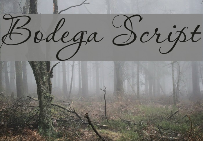 Bodega Script Example 1