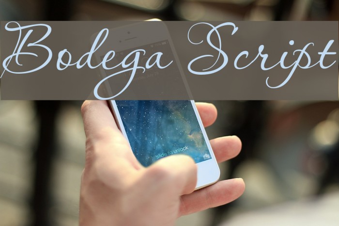 Bodega Script Example 2