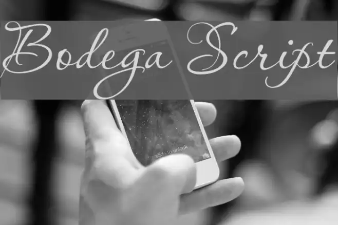 Bodega Script Example 2