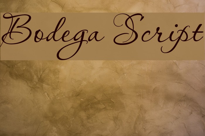 Bodega Script Example 3