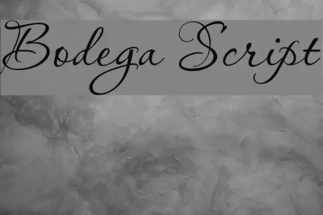 Bodega Script Example 3