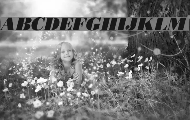 Boden Esperanto Kursiva Font examples