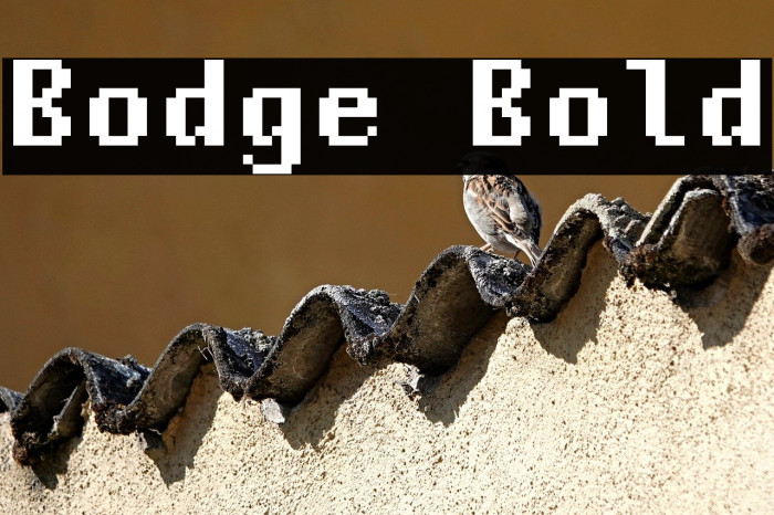 Bodge Bold Example 1