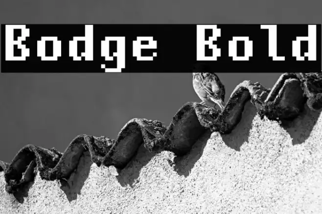 Bodge Bold Example 1