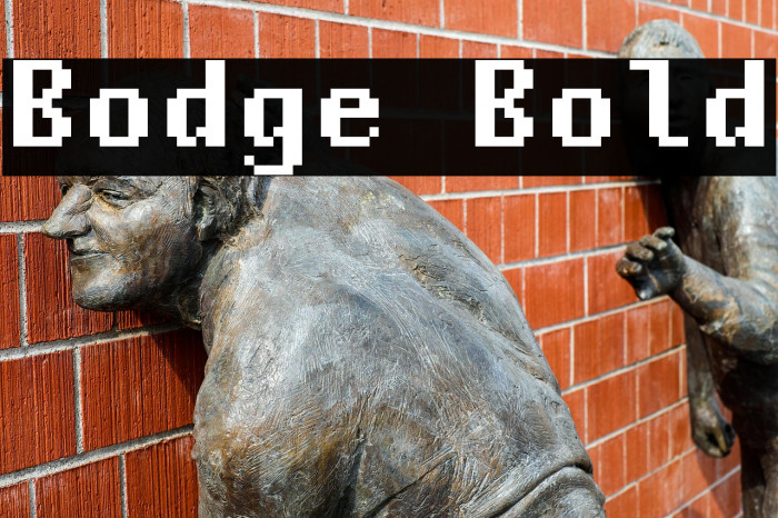Bodge Bold Example 2