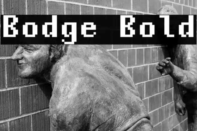 Bodge Bold Example 2