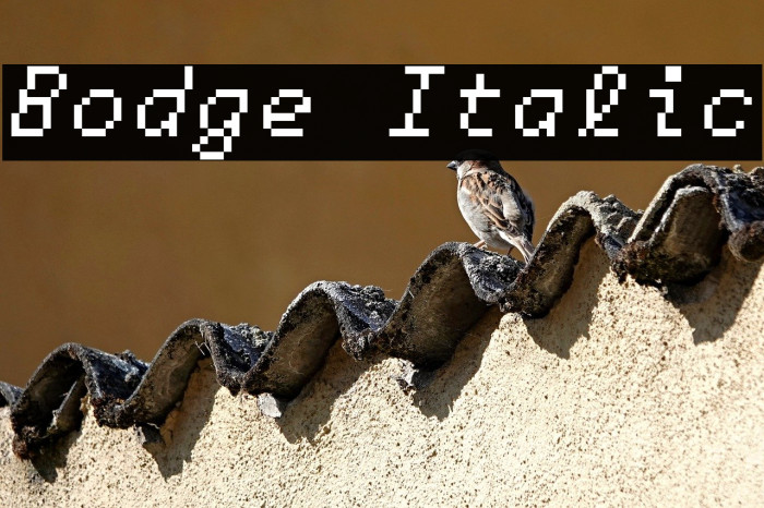 Bodge Italic Example 2