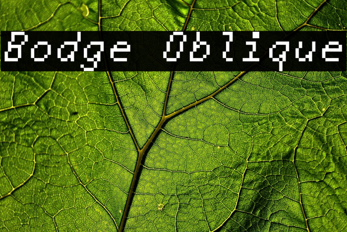 Bodge Oblique Example 1