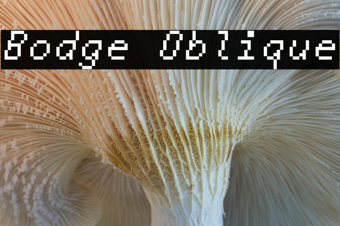 Bodge Oblique Example 2