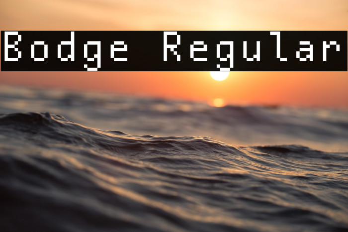 Bodge Regular Example 1