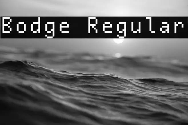 Bodge Regular Font examples