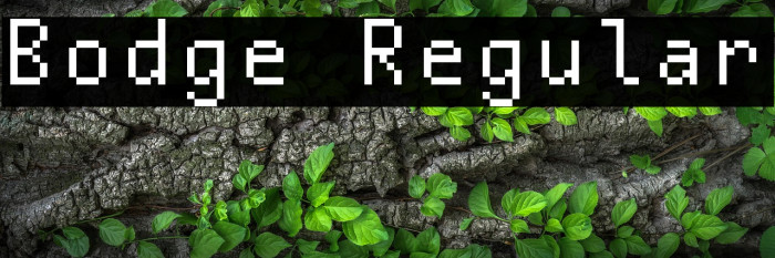 Bodge Regular Example 2