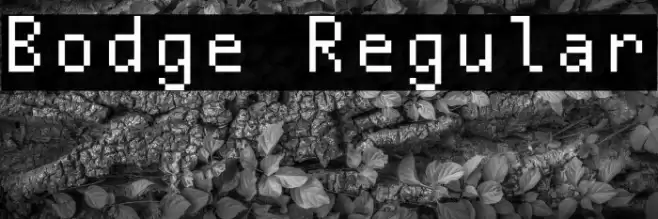 Bodge Regular Font examples